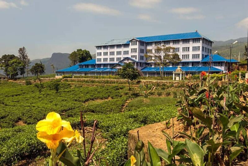 Colombo to Galle Day Tour with Tea Factory & Cinnamon Island - Practical Aspects & Logistics