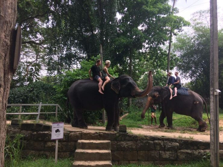 Colombo to Kandy Day Tour - Tour Details