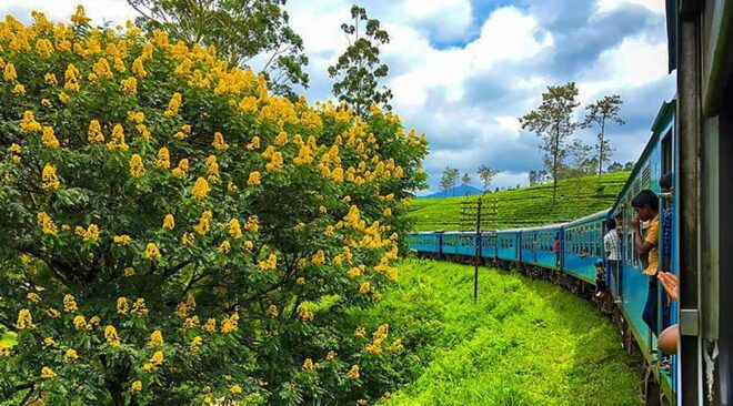 COLOMBO to KANDY Trian E-Tickets - Scenic Journey Experience