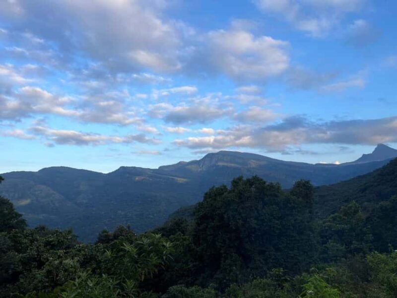 Colombo To Maskeliya & Waterfalls Day Trip - The Itinerary Breakdown: What You Can Expect