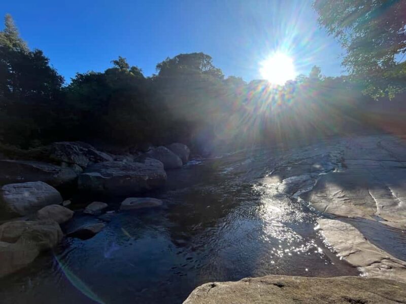 Colombo To Maskeliya & Waterfalls Day Trip - An In-Depth Look at the Maskeliya & Waterfalls Day Trip