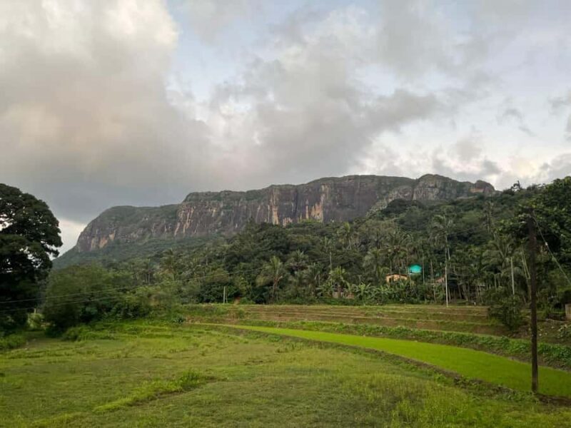 Colombo To Maskeliya & Waterfalls Day Trip - Final Thoughts