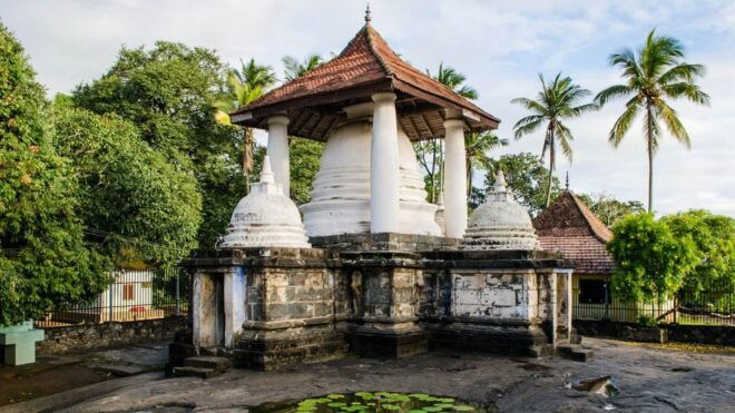 Colombo to Pinnawala & Kandy Day Tour With Tea Factory - Transportation Details