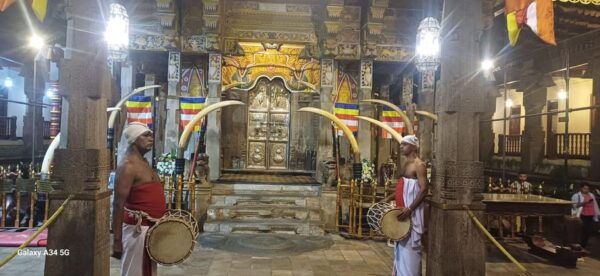 Colombo to Pinnawala & Kandy Day Tour With Tea Factory - Booking Process