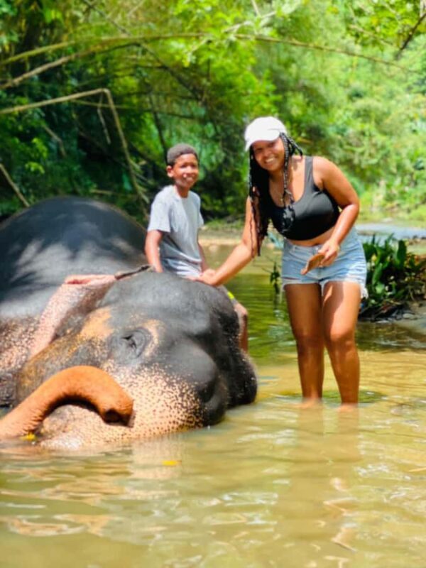 Colombo to Pinnawala & Kandy  Private Cultural Day Tour - Starting from Colombo: Comfort and Convenience