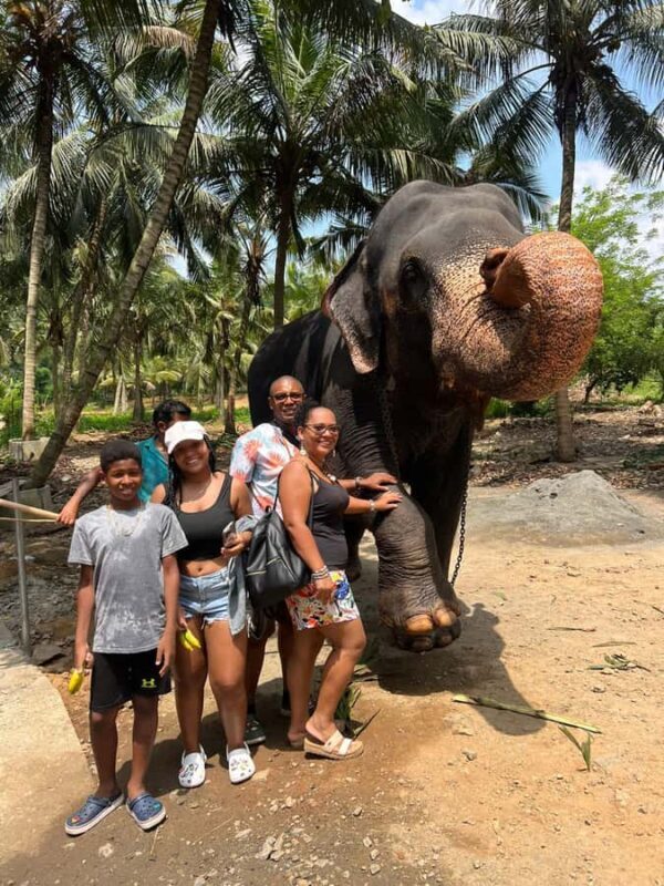 Colombo to Pinnawala & Kandy  Private Cultural Day Tour - Scenic Drive to Kandy: A Taste of Sri Lanka’s Countryside