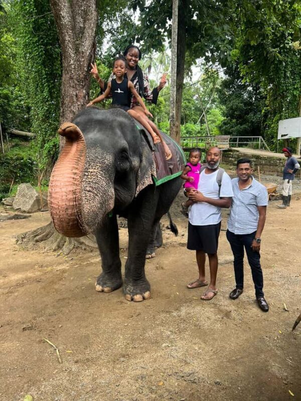 Colombo to Pinnawala & Kandy  Private Cultural Day Tour - Exploring Kandy: Culture and Heritage