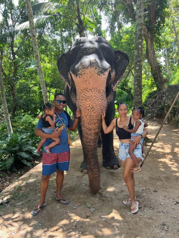 Colombo to Pinnawala & Kandy  Private Cultural Day Tour - Final Thoughts: Who Will Appreciate This Tour?