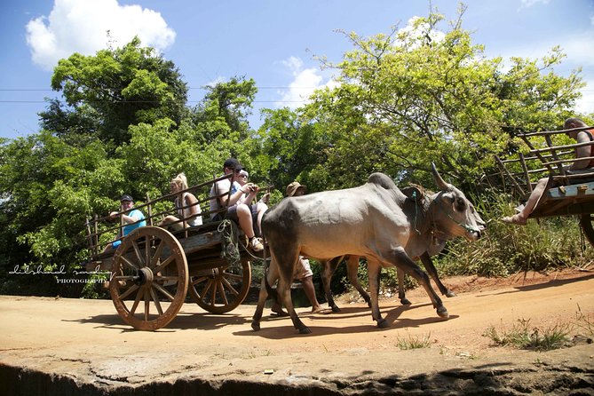 Colombo to Sigiriya and Hiriwadunna Private Full-Day Trip - The Sum Up