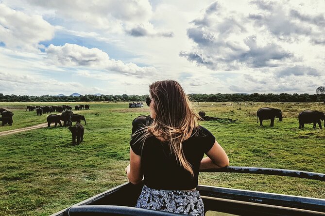 Colombo to Trincomalee Shuttle & Safari Drive - Traveler Photos