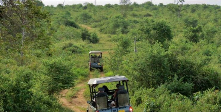Colombo To Udawalawe National Park Safari Tour - Booking Information