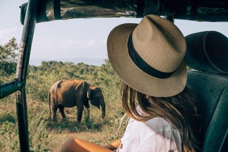 Colombo To Udawalawe National Park Safari Tour - Experience and Wildlife Spotting