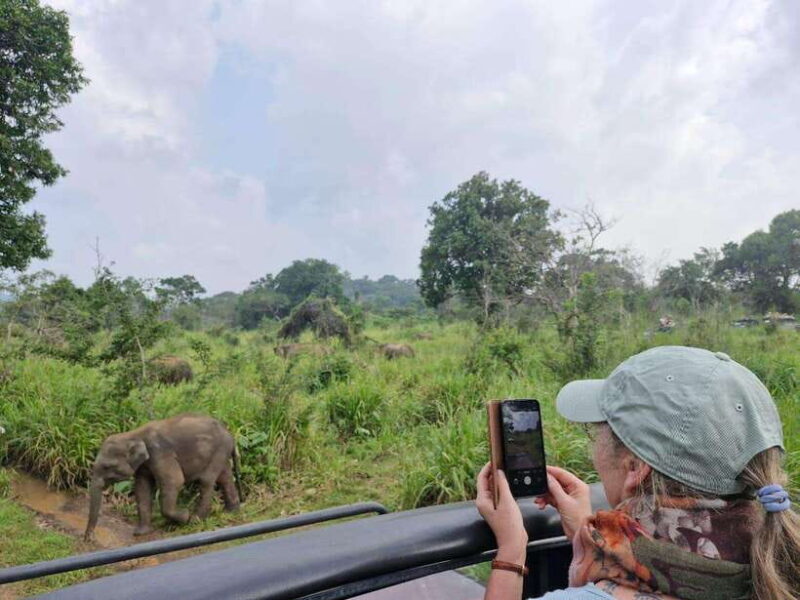 Colombo to Yala via Sigiriya, Kandy Private 4-Day Tour - Good To Know