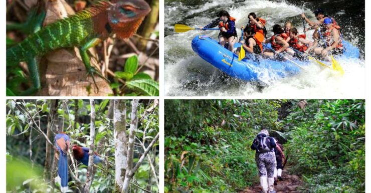 Colombo: Water Rafting, Bird Watching, Village & Rainforest - Activity Features