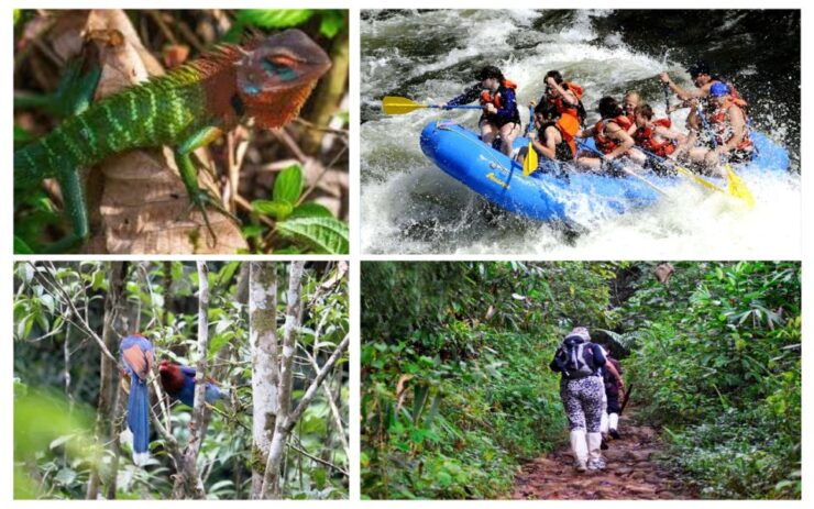 Colombo: Water Rafting, Bird Watching, Village & Rainforest - Pricing and Discounts