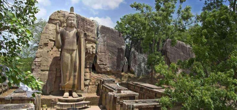 Colombo:Anuradhapura & Wilpattu Safari All Inclusive Tour - Exploring the Colombo: Anuradhapura & Wilpattu Safari All-Inclusive Tour