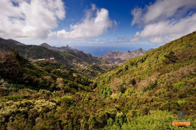 Colon Skies - Garajonay National Park