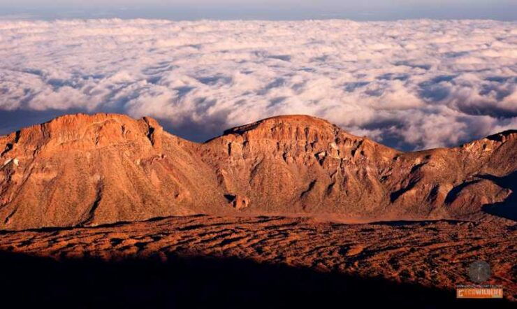 Colon Skies Tenerife - La Gomera - Encountering Europes Largest Volcano