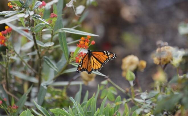 Colon Weekend Skies - Tour Details