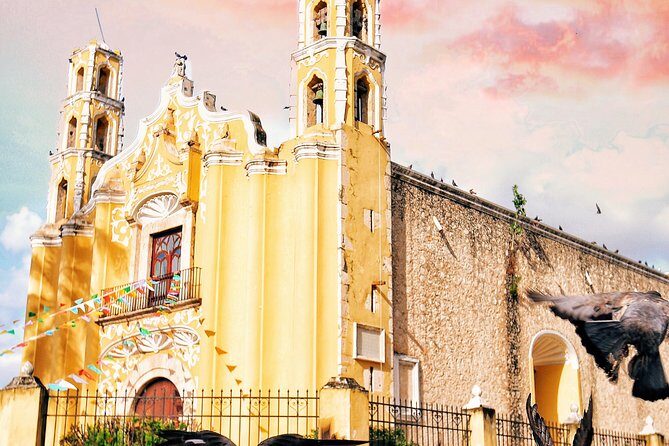 Colonial City of Valladolid, Pink Waters of Las Coloradas and Pink Flamingos - Flamingos and Mangroves at Rio Lagartos