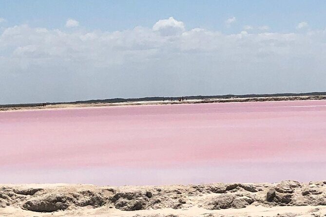 Colonial City of Valladolid, Pink Waters of Las Coloradas and Pink Flamingos - What Travelers Have Said