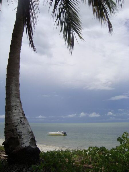 Colonial North Coast Beaches - Full-Day Tour - Frequently Asked Questions