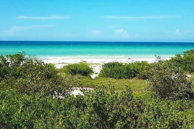 Coloradas Adventure and Cancunito Beach Tour from Merida - Final Words