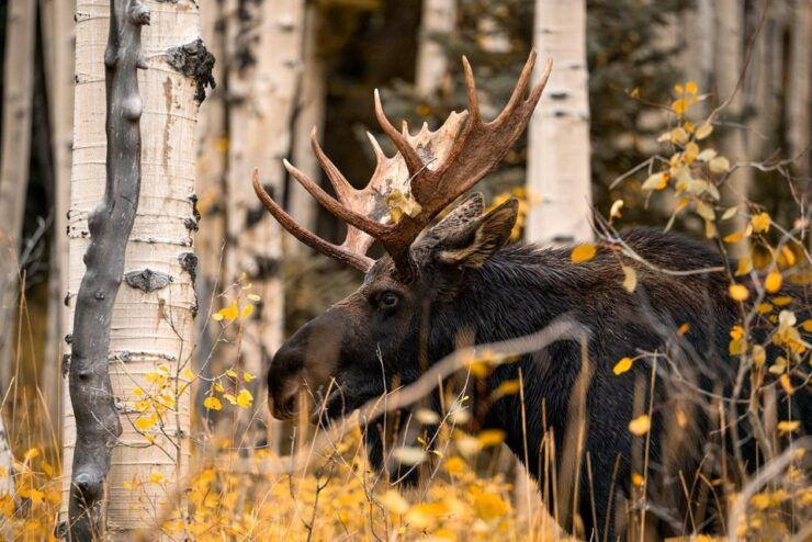 Colorado Fall Color Photography Workshop - Workshop Location and Dates