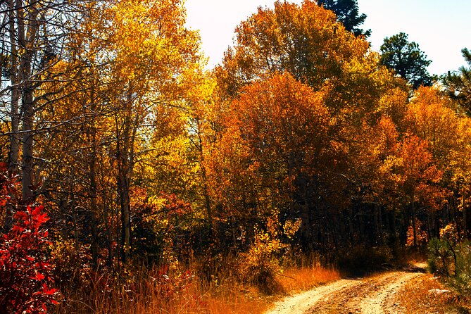 Colorado Peak-to-Peak Tour (Fall-Color-Extravaganza) - Exploring the Itinerary in Depth