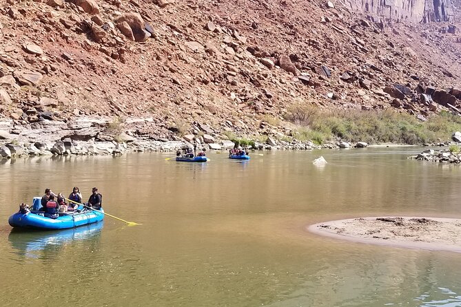 Colorado River Rafting: Afternoon Half-Day at Fisher Towers - Wildlife Spotting Opportunities