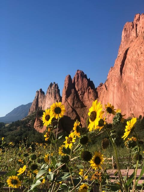 Colorado Springs: Garden of the Gods & Historic Town Tour - Insights from Past Travelers