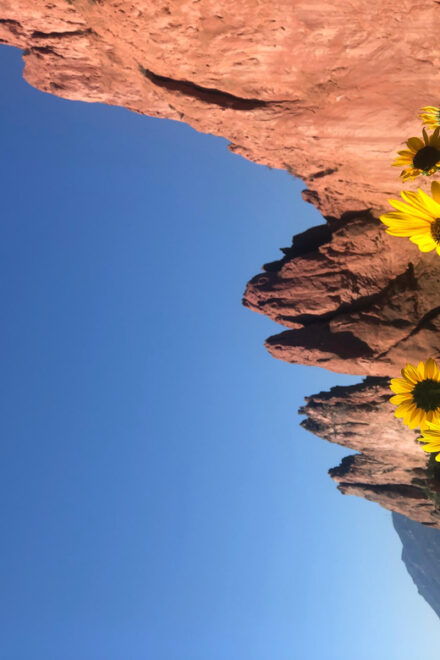 Colorado Springs: Garden of the Gods & Manitou Springs Tour - Included in the Tour