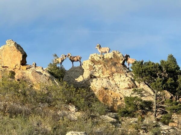 Colorado Springs: Garden of the Gods & Manitou Springs Tour - Frequently Asked Questions