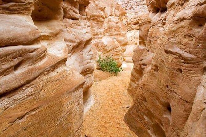 Colored Canyon and White Canyon Tour From Taba - Good To Know