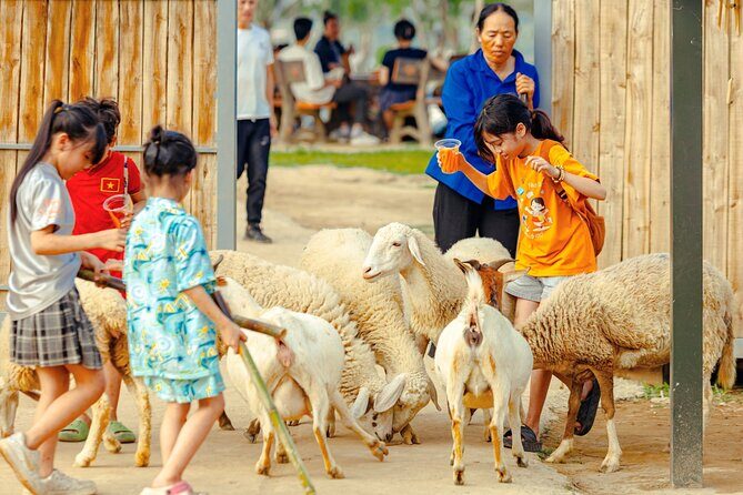 Colorful Rainbow Slide Experience - Practical Tips for Visiting