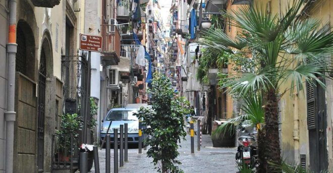 Colorful Stroll: Street Art, Naples - Important Information