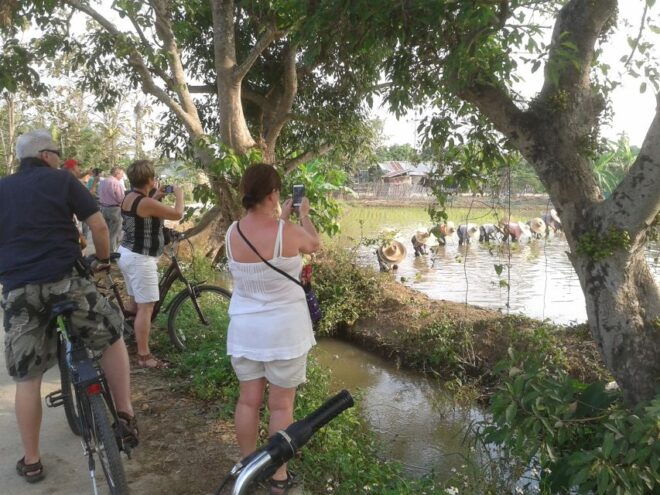Colors of Chiang Mai Guided Bicycle Tour - Reservation Details