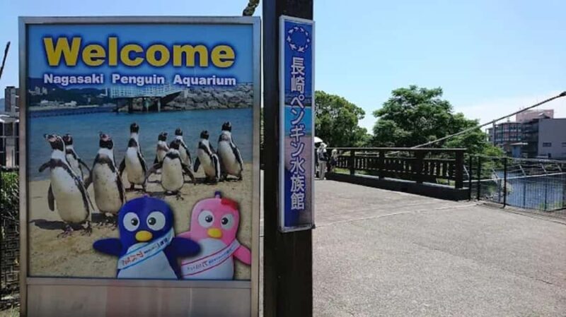 Colors of the Sea Nagasaki Penguin Aquarium & Coastal Walk - Authentic Visitor Insights