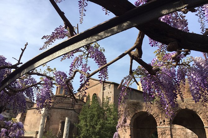 Colosseum and Ancient Rome - Private Tour - The Sum Up