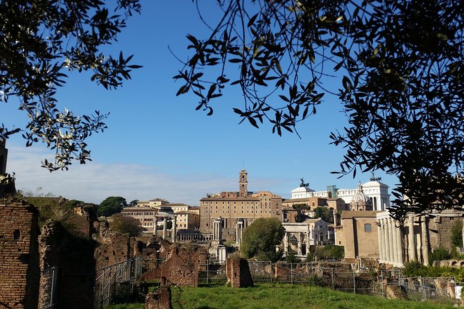 Colosseum and Roman Forum Private Tour Led by an Archaeologist - Reviews, Ratings, and Pricing Details