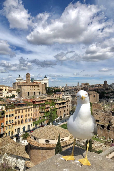 Colosseum and Roman Forum With Skip the Line Ticket - Roman Forum Experience
