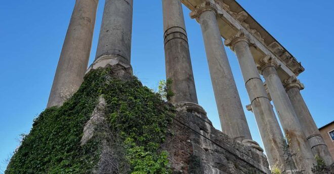 Colosseum and Roman Forum With Skip the Line Ticket - Colosseum Exploration