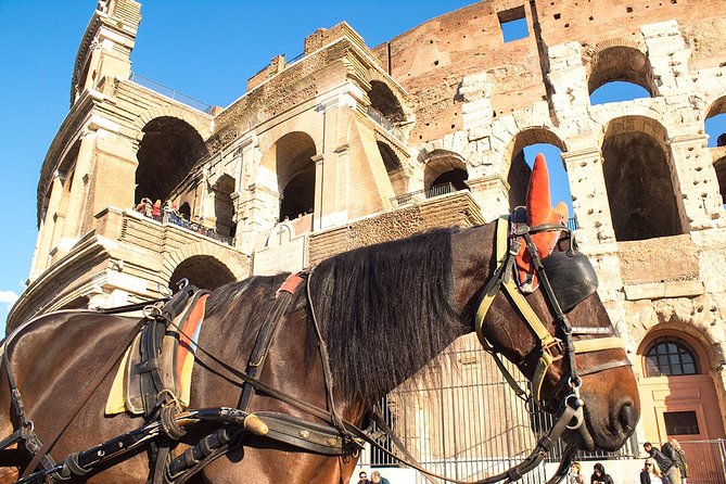 Colosseum Arena Floor & Ancient Rome Tour for Kids and Families - Educational Activities Included