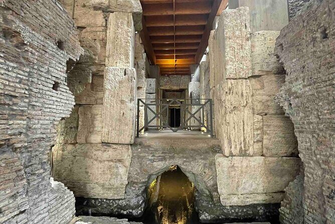 Colosseum Arena or Underground Gladiator Journey - What to Expect from the Tour
