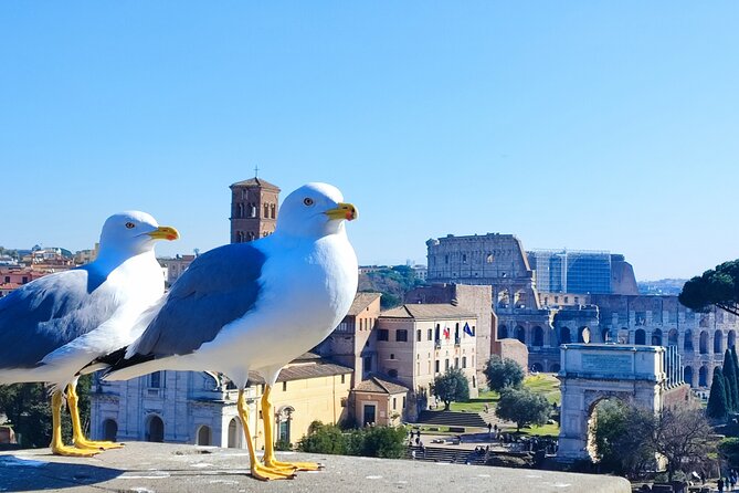 Colosseum Experience: Small Group Tour With Skip-The-Line Access - Meeting Point and Entry Requirements