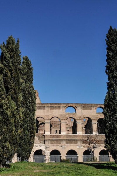 Colosseum Guided Tour With Access to the Gladiator Arena - Meeting Point Details