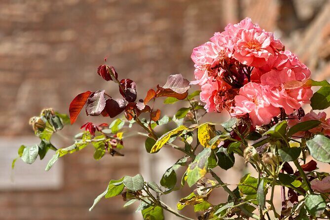 Colosseum Guided Tour with Roman Forum & Palatine Hill - The Sum Up: Is This Tour Right for You?