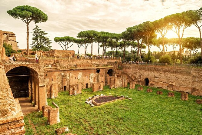 Colosseum, Roman Forum and Palatine Hill Tour Professional Guided Tour - Tour Highlights