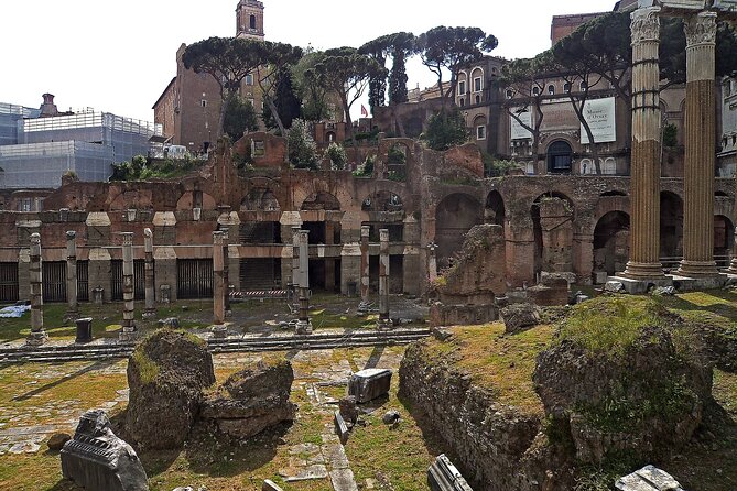 Colosseum, Roman Forum and Palatine Hill Tour Professional Guided Tour - Traveler Reviews and Ratings