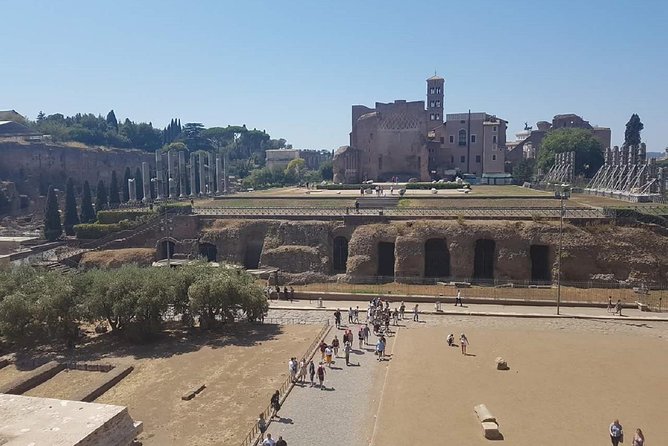 Colosseum: the Glory of Ancient Rome, Half Day Small Group Tour - Tour Highlights